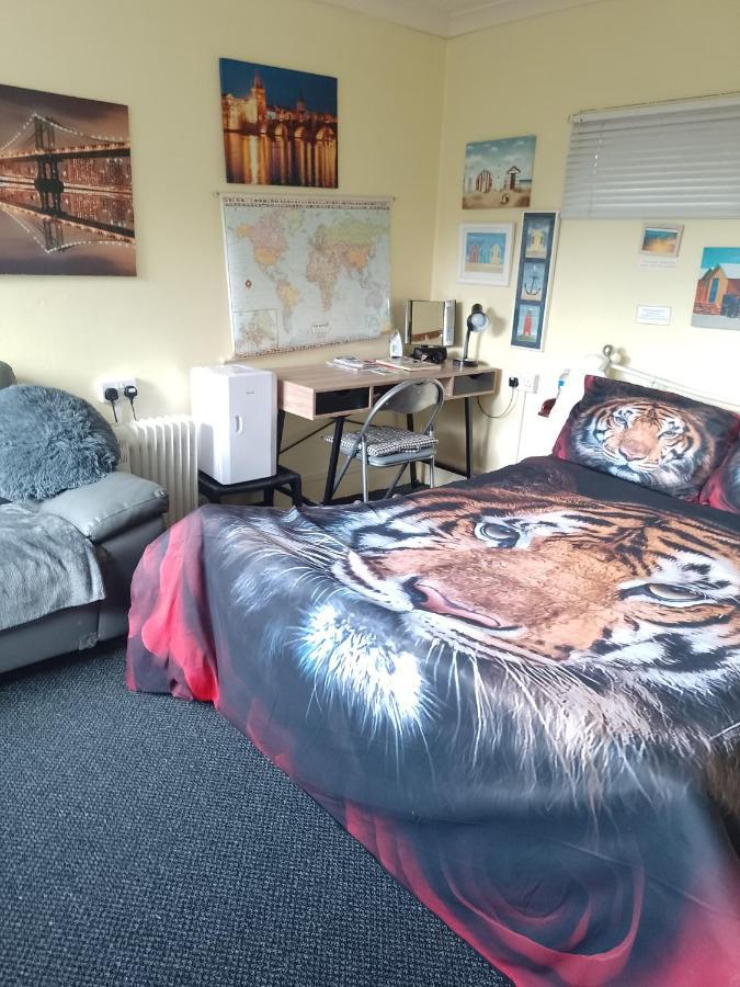 Studio Pad Apartment Кардиф Екстериор снимка